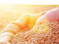 Learning Center Farmland Investing
